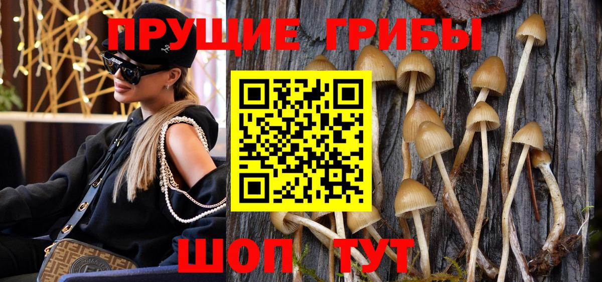 Новоуральск  Псилоцибиновые грибы мухоморы  Вход с VPN 